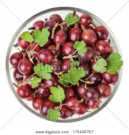 Red gooseberry with leaves in glass bowl isolated on white background with clipping path