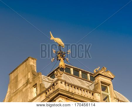 instrument for measuring wind direction positioned on the roof of the building vane weathercock anemoscope in the shape of fish
