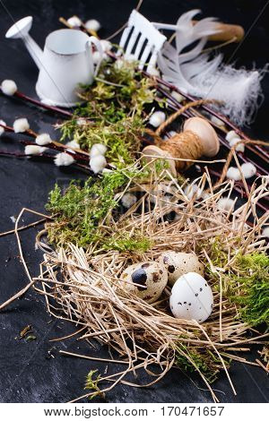 Easter Composition With Quail Eggs