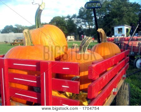 Red Wagon Full Of  Pumpkins