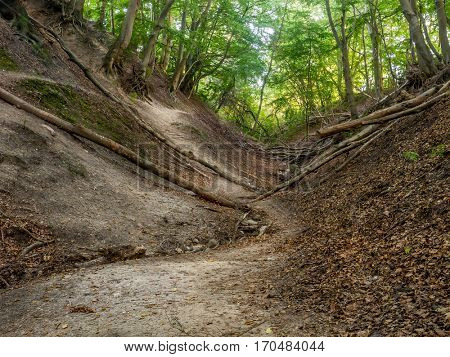 Fox Ravine or 
