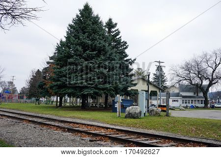 MANCELONA, MICHIGAN / UNITED STATES - NOVEMBER 27, 2016: Tall blue spruce trees (Picea pungens) furnish shade in the Railroad Park, near downtown Mancelona.