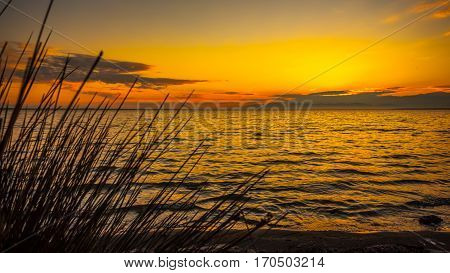 Colorful Sky And Water In Lake Paliastomi In Morning , Poti, Georgia
