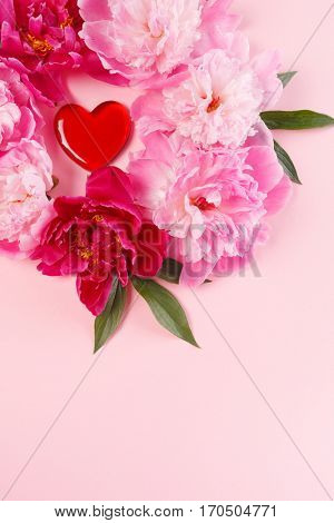 nice peonies
