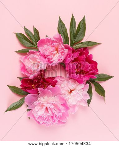 nice peonies