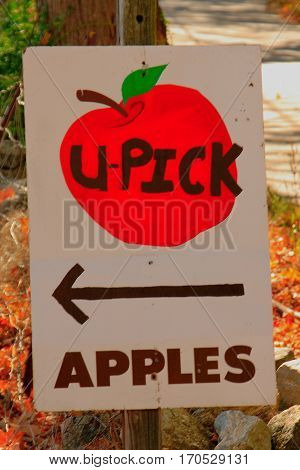 U-Pick apple sign directions to orchard picking