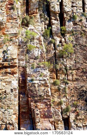 Rugged cliffs of the Kimberley region of Western Australia as background.