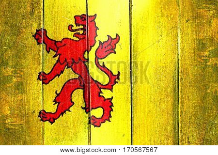 Vintage Zuid holland flag on grunge wooden panel