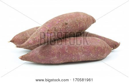 Tapioca Plants Cassava Closeup Isolated On White Background