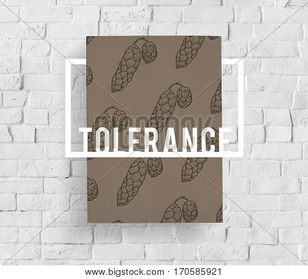 Satisfied Spirit Tolerance Forbearance Mood