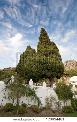 Views of Ubrique, Cadiz. This village is part of the pueblos blancos (white towns) in southern Spain, Andalusia region, and reminds the Arab past