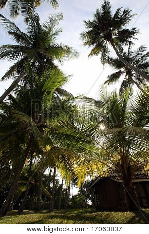 Bentota Club Hotel Sri Lanka
