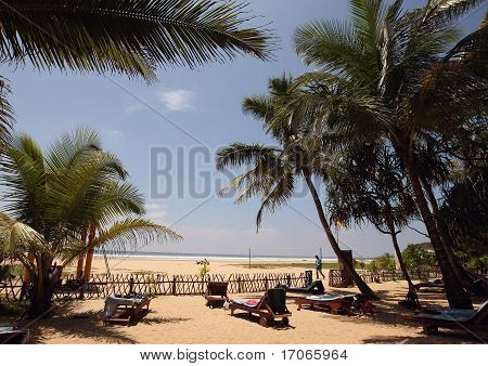 Vista sulla spiaggia dello Sri Lanka