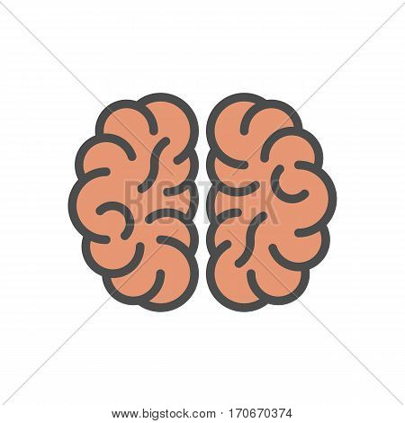 Isolated brains icon on white background. Concept of thinking, brainstrom and intellect.