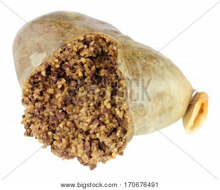Traditional Scottish haggis isolated on a white background
