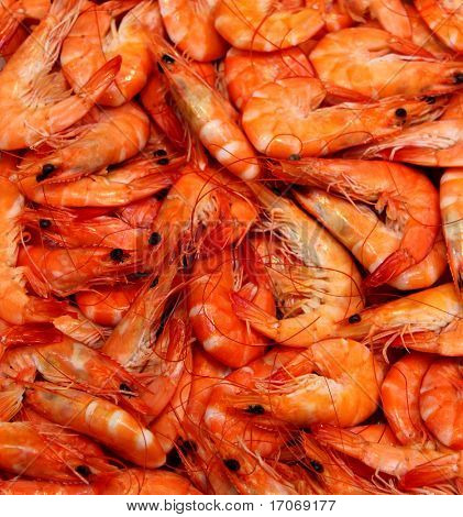closeup on fresh prawns in a market place