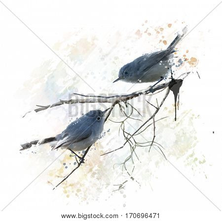 Digital Painting of  Blue-gray Gnatcatchers