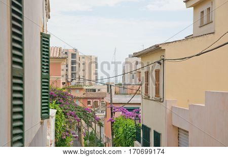 Street View In El Terreno