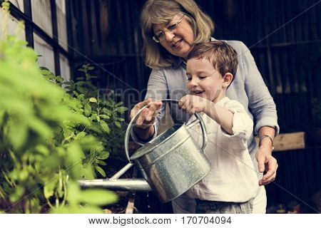 Watering Plant Growing Pastime Environment