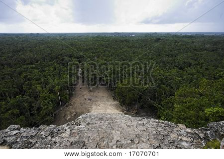 vue de la perte dans le site de jungle Maya de Coba au yucatan Mexique
