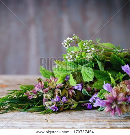 Assortment Of Fresh Herbs