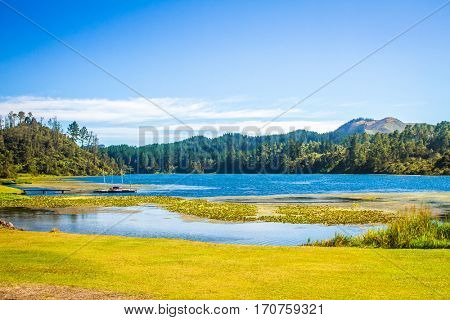 serene river view, green forest and blue water