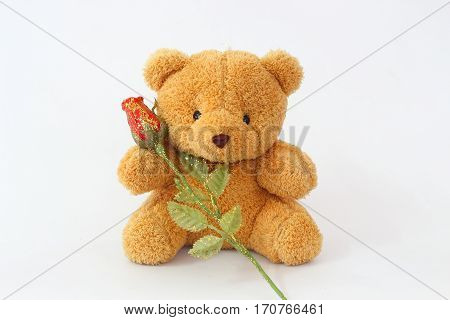 Brown teddy bears and red roses on a white background.