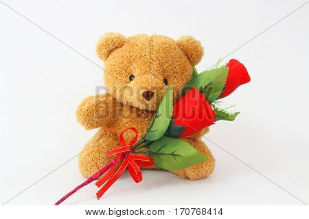 Brown teddy bears and red roses on a white background.