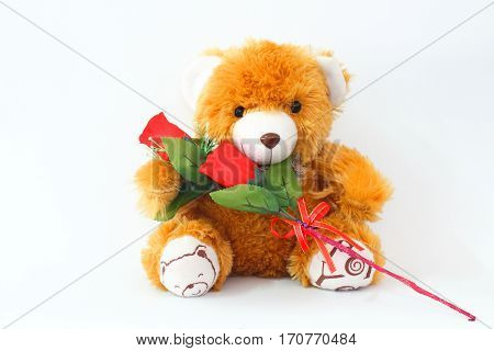 Brown teddy bears and red roses on a white background.