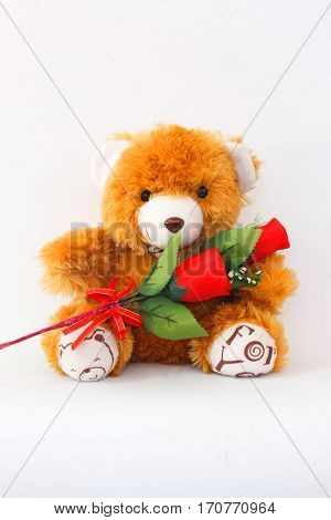 Brown teddy bears and red roses on a white background.
