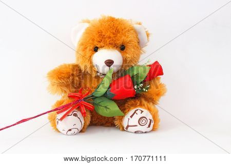 Brown teddy bears and red roses on a white background.
