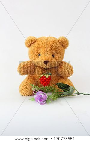 Bear brown and purple roses on a white background.