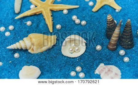 pearls and shells