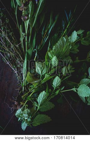 Assortment Of Fresh Herbs