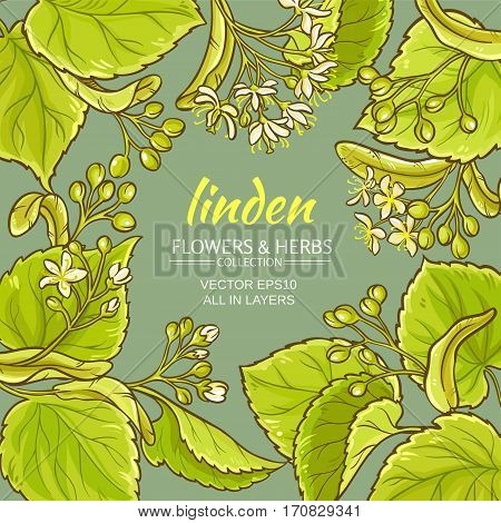 linden branches vector frame on color bckground