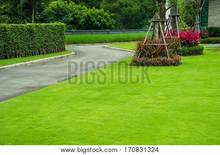 The home side street in a green lawn, front yard for a backdrop.