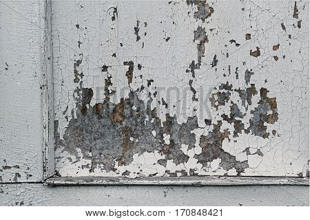 old wooden shabby paint wall. Textured background
