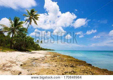 Beautiful caribbean sea and green palmen.Sommer ocean landscape as background.