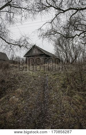 Belarus-November 24, 2016 Groomed trail climbs up the hill and leads to an abandoned wooden house deserted forever, lonely house surrounded by trees and shrubs, an abandoned village