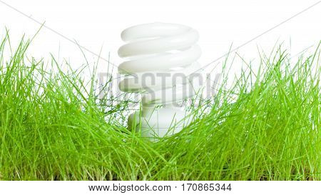 energy-saving light blub on a patch of green grass