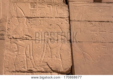 Hieroglyphs on walls of Hypostyle Hall in Karnak Temple located in ancient Thebes, Egypt
