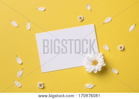 Spring or summer background with copy space for text: blank stationary template / invitation mockup white flower with yellow heart chamomiles and petals around. Top view. Flat lay.