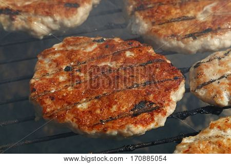 Chicken Or Turkey Burger For Hamburger On Grill