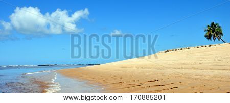 gunga beach, a beautifl brazilian beach close to maceio