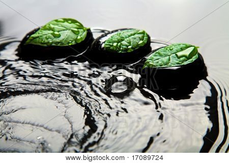 Zen pietre e foglie in acqua