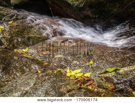 Quebrada del Avila con aguas muy frias