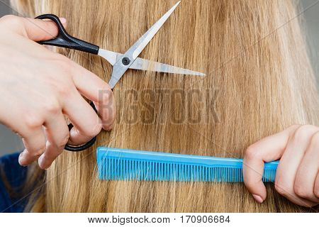Woman Cutting Down Smoothy Hair.