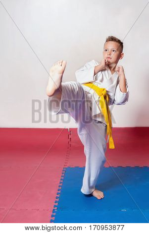 Children During Training In Karate. Fighting Position