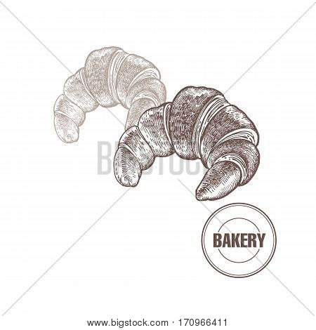 Croissants. Hand drawing a bread product. Vector illustration of food. Kitchen design for the confectionery and bakery cafe restaurant menu. Vintage.