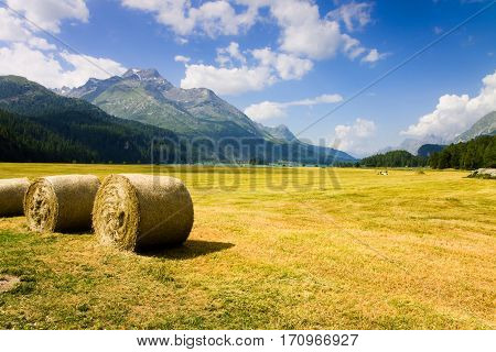 Walking around Sils lake - Upper Engadine Valley - Switzerland